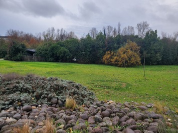 Vente - Brasserie - Restaurant - Bordeaux-photo-3