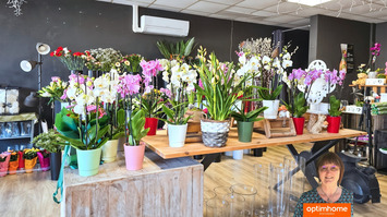 Vente - Fleuriste - Le Grau-du-Roi (30240)-photo-4