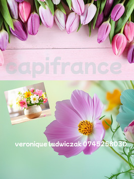 Vente - Cadeaux souvenirs - Fleuriste - Nord (59)