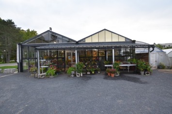 Vente - Cadeaux souvenirs - Fleuriste - Digoin (71160)