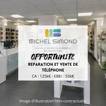 Vente - Services informatiques - Téléphonie - Morbihan (56)