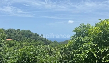 Location Local Commercial - Marin (97290)-photo-4