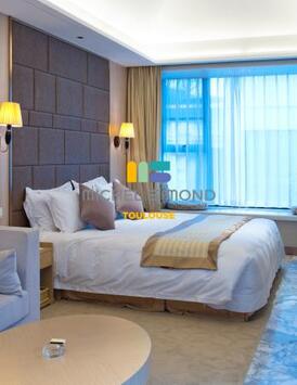 Vente - Hôtel - Restaurant - Café - Haute-Garonne (31)