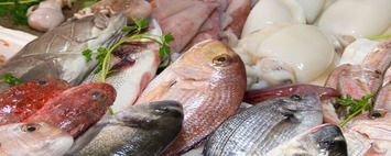 Vente - Poissonnerie - Yvelines (78)-photo-4