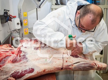 Vente - Boucherie - Charcuterie - La Roche-sur-Yon (85000)