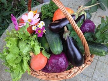 Vente - Bio - Fruits et légumes - Alpes-Maritimes (06)-photo-3
