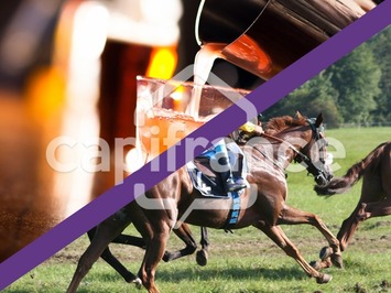 Location Local Commercial - Sarreguemines (57200)-photo-3
