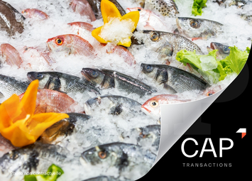 Vente - Boucherie - Charcuterie - Poissonnerie - Traiteur - Saint-Quay-Portrieux (22410)