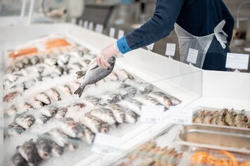 Vente - Poissonnerie - Rennes (35000)