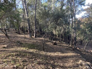 Vente Terrain ZI / ZA - Lorgues (83510)-photo-2