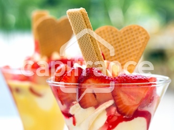 Vente - Bar - Restaurant - Glacier - Pyrénées-Orientales (66)-photo-2