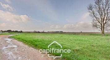 Vente Entrepôt / Local d'activités - Nuaillé-d'Aunis (17540)-photo-3