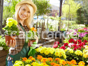 Vente - Fleuriste - Quimper (29000)