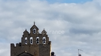 Vente - Glacier - Saintes-Maries-de-la-Mer (13460)-photo-3