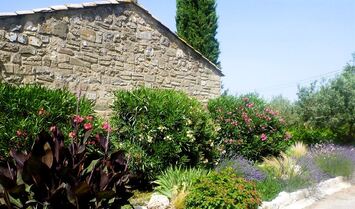 Vente - Gîte - Gard (30)-photo-3