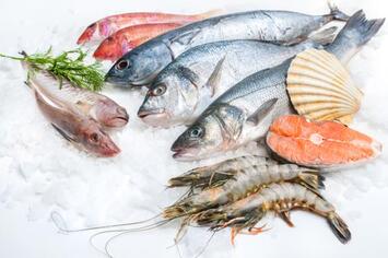 Vente - Restaurant - Cave à vins - Poissonnerie - Bouches-du-Rhône (13)