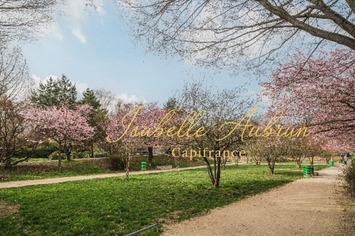 Location Bureau - Isère (38)-photo-2