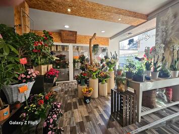 Vente - Fleuriste - Marne (51)-photo-2
