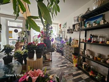 Vente - Fleuriste - Marne (51)-photo-3