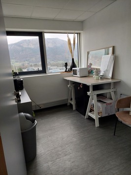 Location Bureau - Saint-Pierre-en-Faucigny (74800)-photo-3