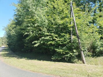 Vente Terrain ZI / ZA - Bazoches-sur-le-Betz (45210)-photo-2
