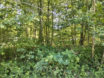 Vente Terrain ZI / ZA - Bazoches-sur-le-Betz (45210)-photo-3