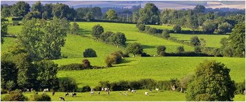 Vente Terrain ZI / ZA - Gournay-en-Bray (76220)-photo-4