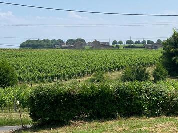 Vente Terrain ZI / ZA - Gironde (33)-photo-3
