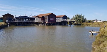 Vente - Restaurant - Marennes (17320)-photo-3