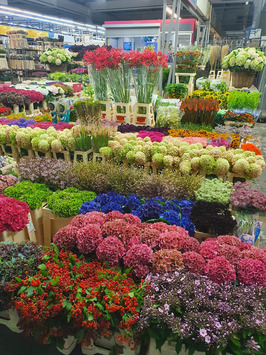 Vente - Fleuriste - Biguglia (20620)-photo-3