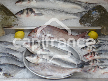 Vente - Poissonnerie - Pont-l'Abbé (29120)