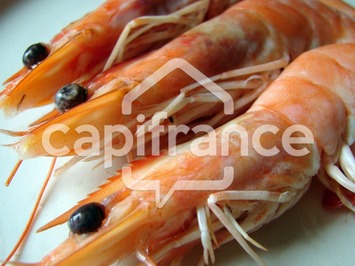 Vente - Poissonnerie - Royan (17200)-photo-4