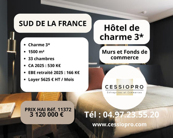 Vente - Hôtel - Fontvieille (13990)