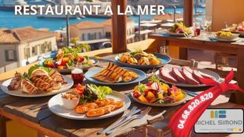 Vente - Restaurant - Pyrénées-Orientales (66)-photo-1