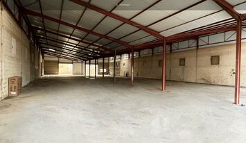 Vente Entrepôt / Local d'activités - Belleville (69220)-photo-3