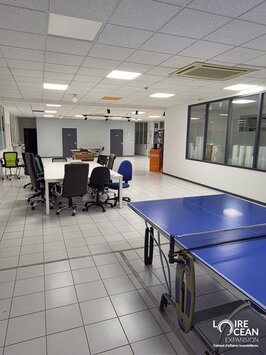 Vente Entrepôt / Local d'activités - Nantes (44000)-photo-4
