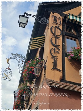 Vente - Hôtel - Restaurant - Loiret (45)
