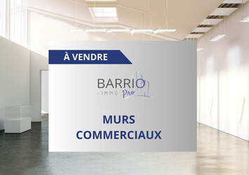 Vente de murs de boutique - Saint-Cyprien (66750)-photo-2