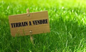 Vente Terrain ZI / ZA - Poitiers (86000)-photo-2