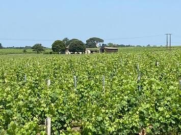 Vente Terrain ZI / ZA - Gironde (33)-photo-1