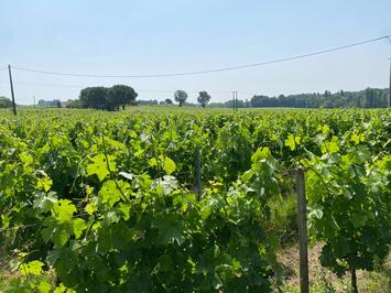 Vente Terrain ZI / ZA - Gironde (33)-photo-3