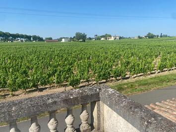 Vente de murs de boutique - Gironde (33)-photo-1