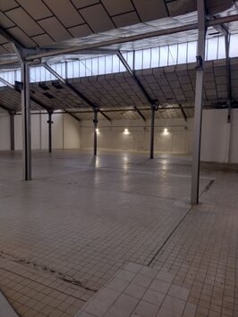 Location Entrepôt / Local d'activités - Perpignan (66000)-photo-3