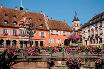 Vente - Bar - Brasserie - Obernai (67210)
