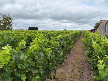 Vente Terrain ZI / ZA - Gironde (33)-photo-1