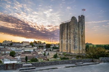 Vente - Restaurant - Saint-Emilion (33330)-photo-4