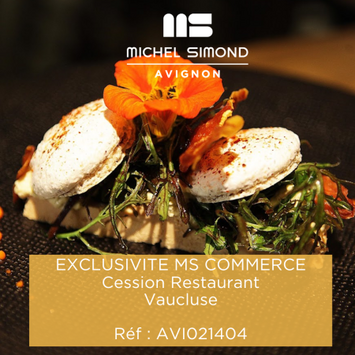 Vente - Restaurant - Vaucluse (84)-photo-3