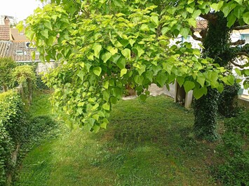 Vente de murs de boutique - Bergerac (24100)-photo-3