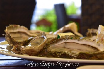 Vente - Restaurant - Poissonnerie - Canet-en-Roussillon (66140)-photo-2