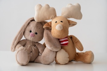Vente - Cadeaux souvenirs - Challans (85300)-photo-2